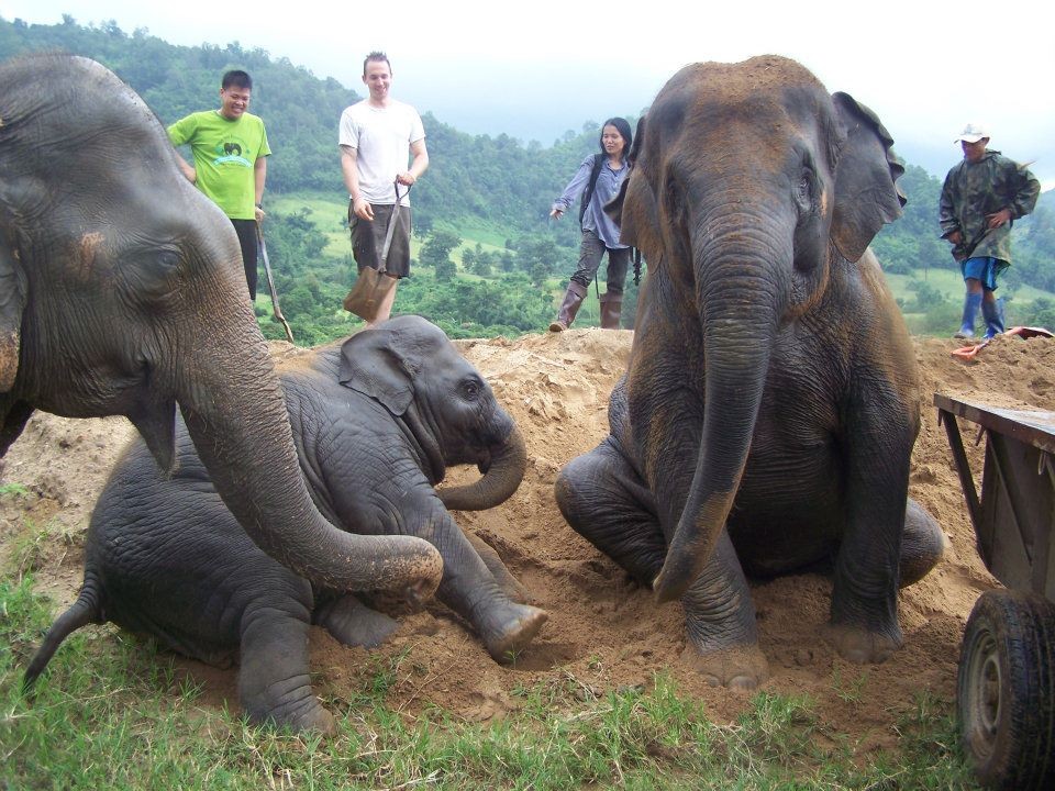 Animal Volunteer Opportunities in Thailand