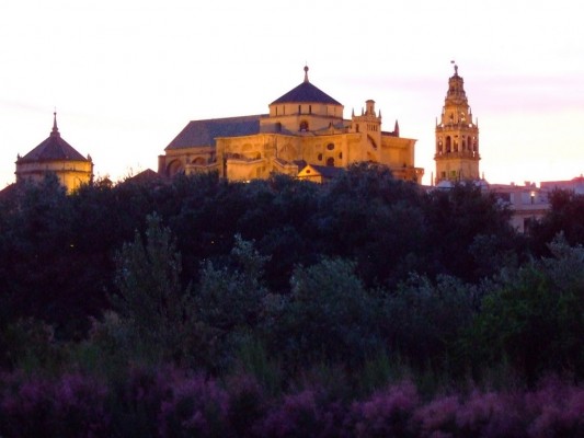 Middlebury School in Spain: Córdoba