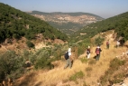 Summer Ecosystem Experiences for Undergraduates: Jordan