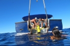 Modern Oceanography Summer Course in Bermuda!