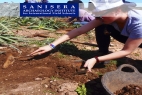 2018 Dig in the Roman City of Sanisera