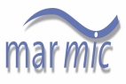 MSc in Marine Microbiology (IMPRS MarMic)