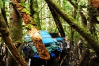 Summer 2015 Peruvian Amazon Expedition