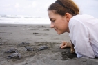 Costa Rica Sea Turtle Ecology Program
