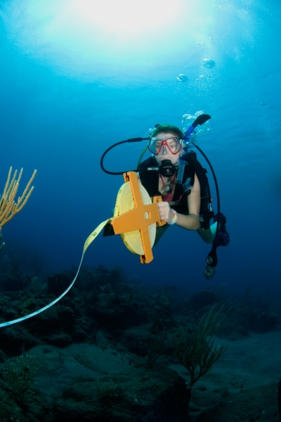 Curaçao Advanced Marine Biology