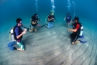 Caribbean Underwater Discoveries Voyage