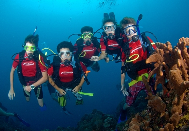 Bahamas Marine Biology