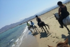 Naxos Horse Riding Club