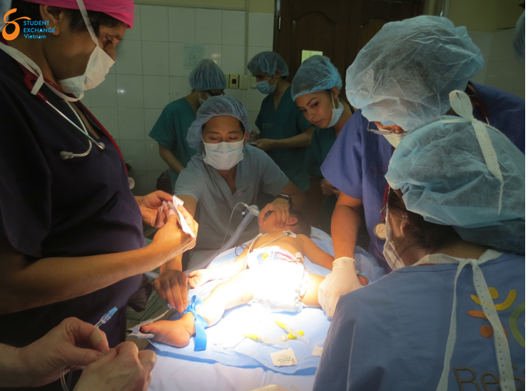 Medical & Healthcare Internship in Vietnam with SE Vietnam