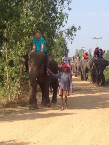 Volunteer in a Genuine Elephant Village