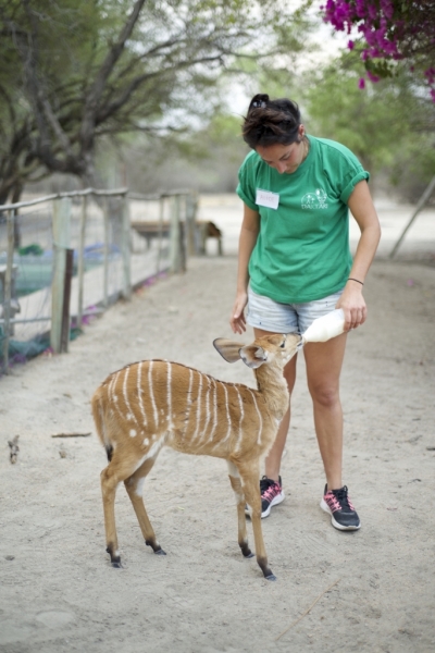 Volunteer with Animals and Children in South Africa