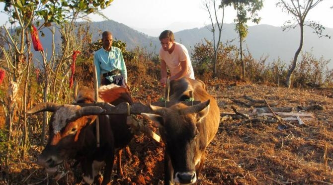 Rural Community Volunteer Project, Nepal