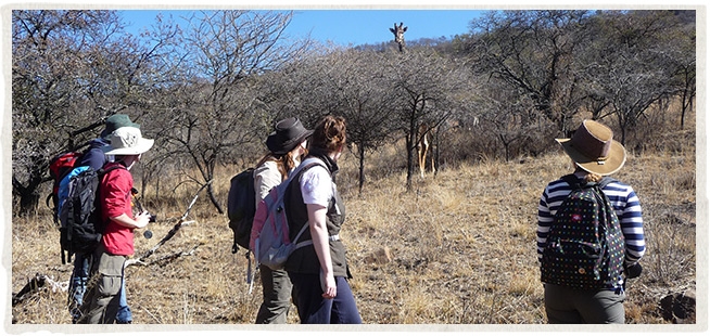 Conservation Internships on UmPhafa Private Nature Reserve
