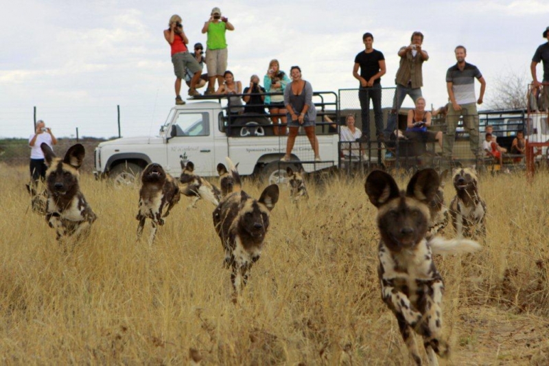 Namibia Wildlife Sanctuary