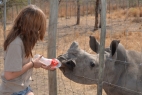 Specialist Rhino Orphanage and Rehabilitation Centre