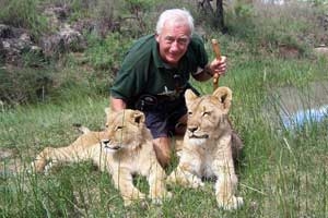 Lion conservation in Zimbabwe