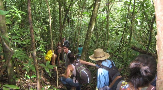 Pacific Sea Turtle Volunteer Project, Costa Rica