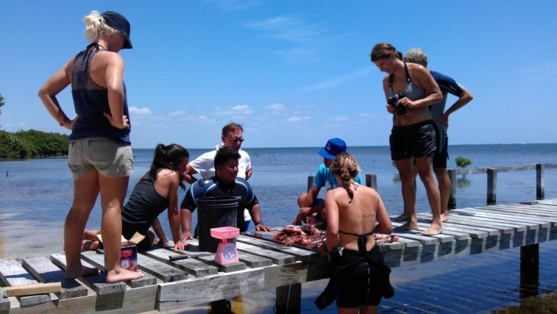 Blue Ventures Lionfish Culling Project in Belize