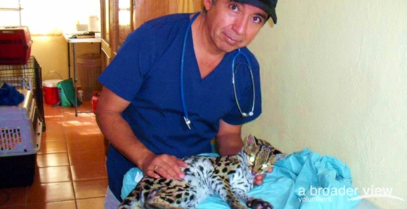 Guatemala Quetzaltenango (Xela) Animal Rescue Program