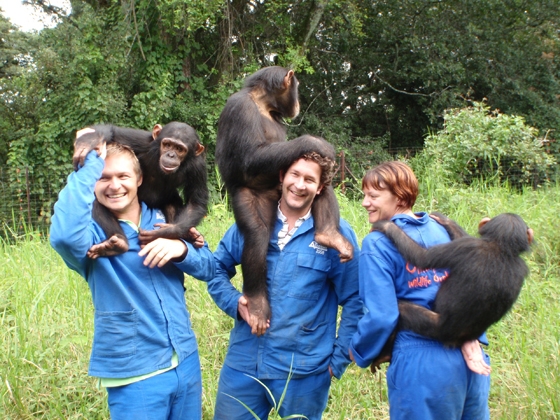 Chimpanzee Sanctuary and Conservation Volunteering Zambia