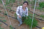 Eco Volunteering at Habiba Organic Farm