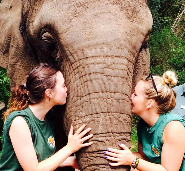 Practical Conservation & Elephant Experience in South Africa