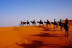 Volunteer in Morocco with MCAS