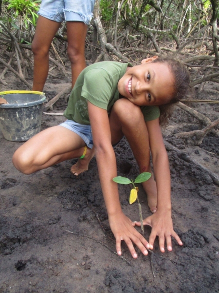 Environmental Volunteers/Interns needed in Surf Town, Brazil