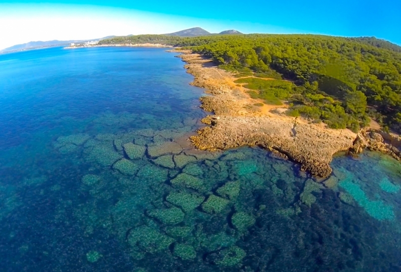 2-weeks Marine Conservation Volunteer Program in Sardinia