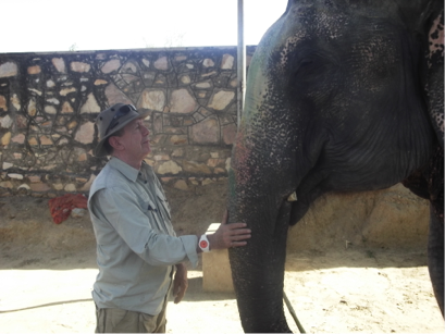 A memorable visit to an elephant retreat outside
