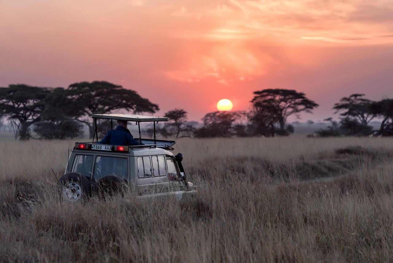 A Guide To Exploring Africa