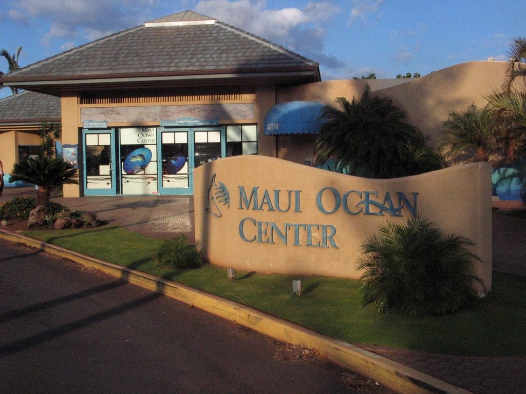 Shark Enlightenment and Hawaiian Culture at Maui Ocean Center