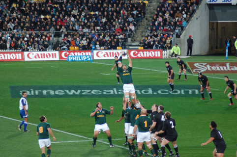 Following the Springboks is one of the most popular activities among South African sports fans.  Attribution: Hamish