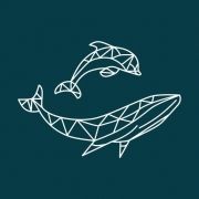 Hebridean Whale & Dolphin Trust logo