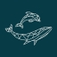 Hebridean Whale & Dolphin Trust