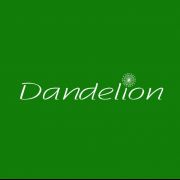 The Dandelion 