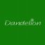 The Dandelion 