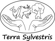 Terra Sylvestris non govermental  non profit organization