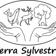 Terra Sylvestris non govermental  non profit organization