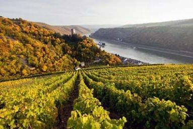Upper Middle Rhine Valley