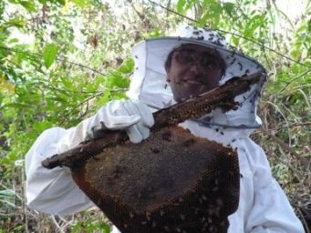 beekeeping internship in RUDEC 