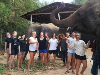 Volunteering with Elephants in Thailand 2017-01-12